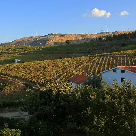 Quinta Da Padrela Winery House Villa