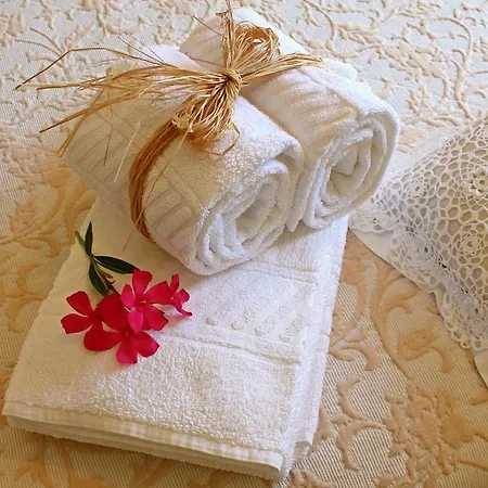 빌라 Quinta Da Padrela Winery House *