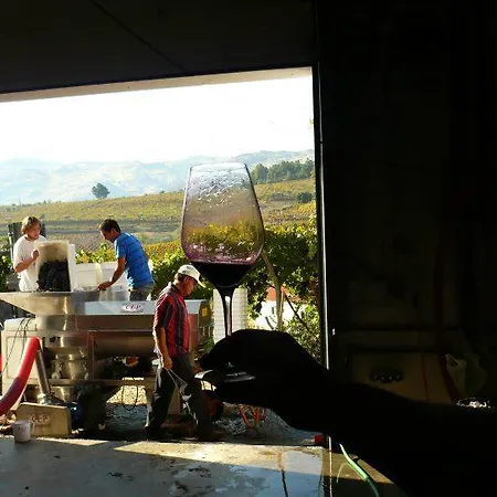 Quinta Da Padrela Winery House Tabuaco