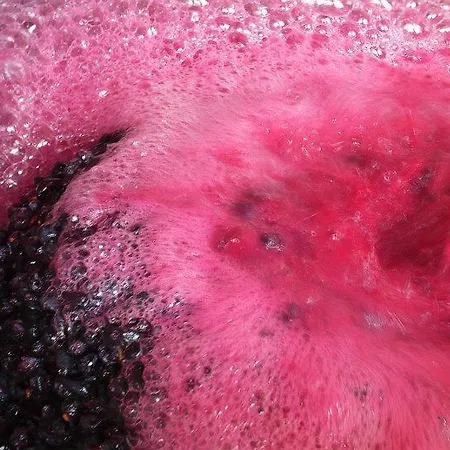 Quinta Da Padrela Winery House * Tabuaco