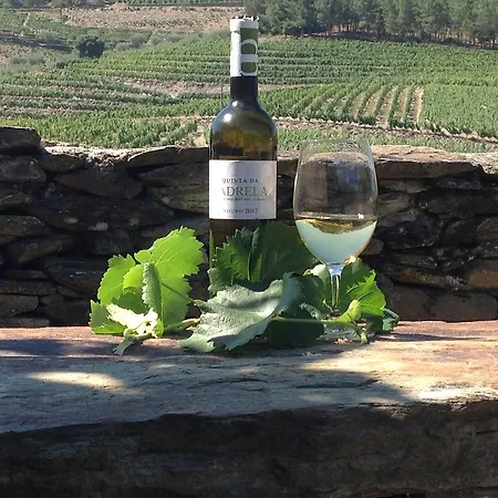 Quinta Da Padrela Winery House * Tabuaco