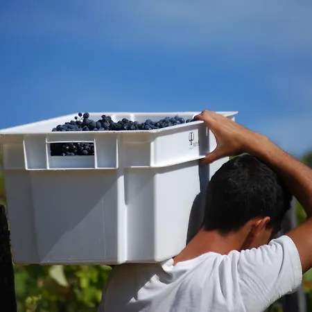 Quinta Da Padrela Winery House