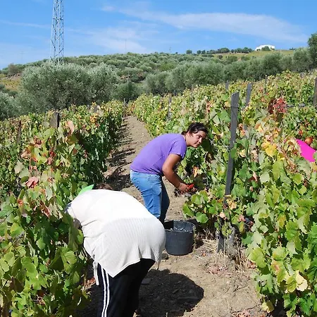 Quinta Da Padrela Winery House 빌라 *