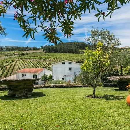 Quinta Da Padrela Winery House Vila