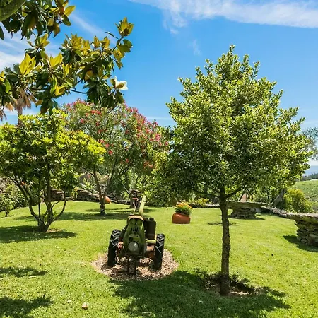 Quinta Da Padrela Winery House Tabuaco