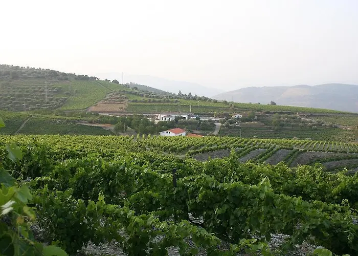 Quinta Da Padrela Winery House *