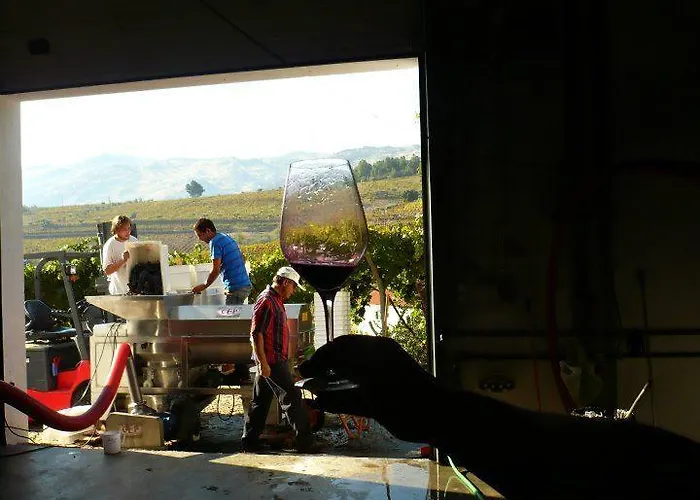 Quinta Da Padrela Winery House Tabuaço