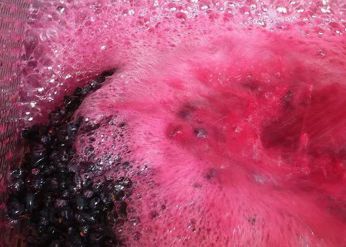 Quinta Da Padrela Winery House * Табуасу