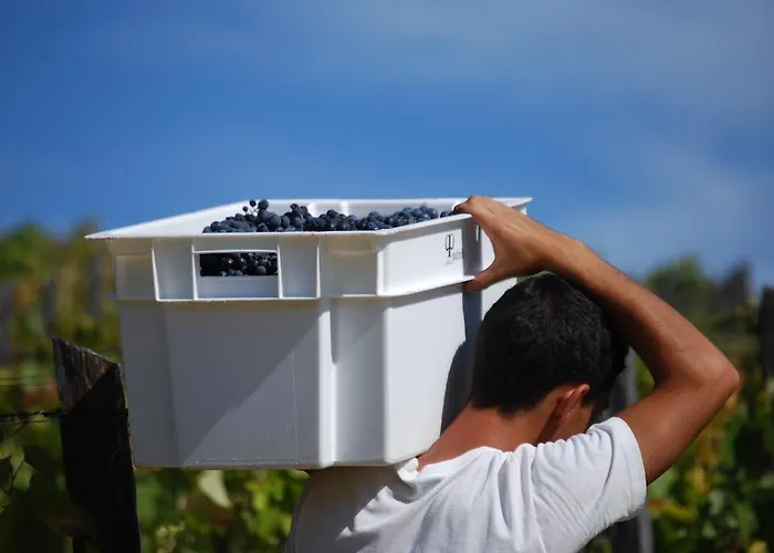 Quinta Da Padrela Winery House