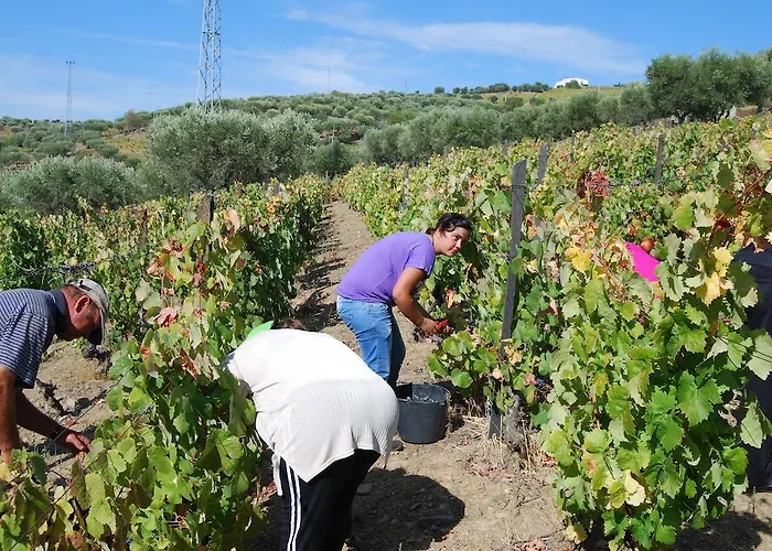 Quinta Da Padrela Winery House Вилла *