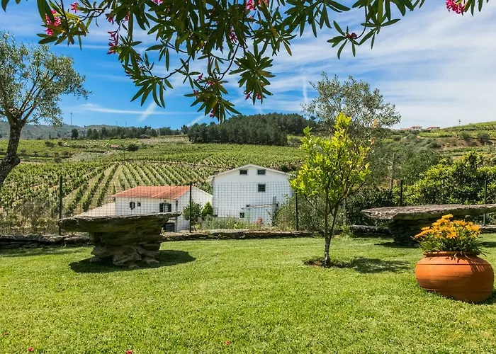 Quinta Da Padrela Winery House Вилла