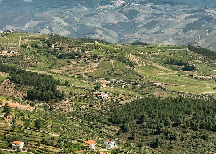 Quinta Da Padrela Winery House Вилла Табуасу
